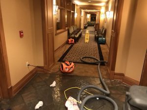 commercial water damage equipment sitting in the hallway of a business